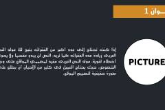 Slide3