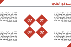 Slide3